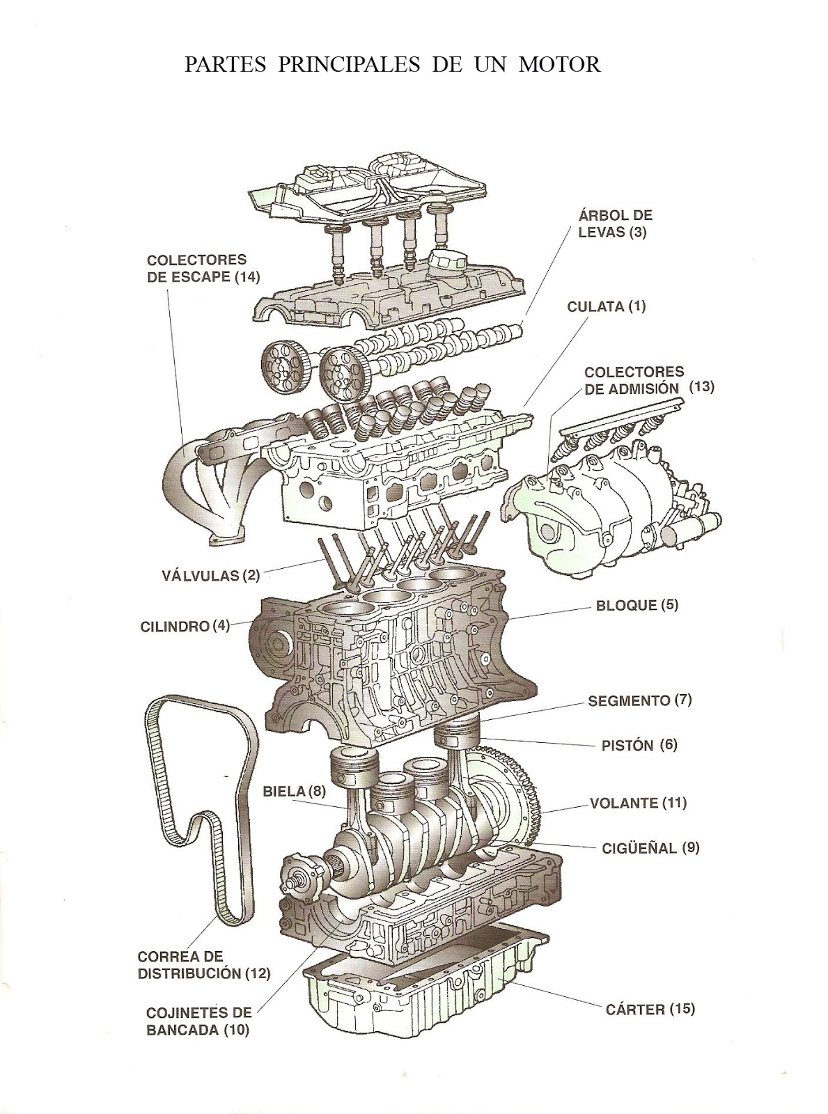 La gasolina para 2101